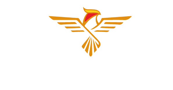 AB WINGS